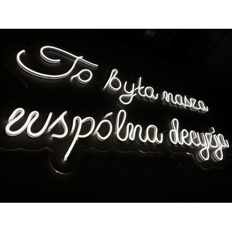 Neon LED To była nasza wspólna decyzja